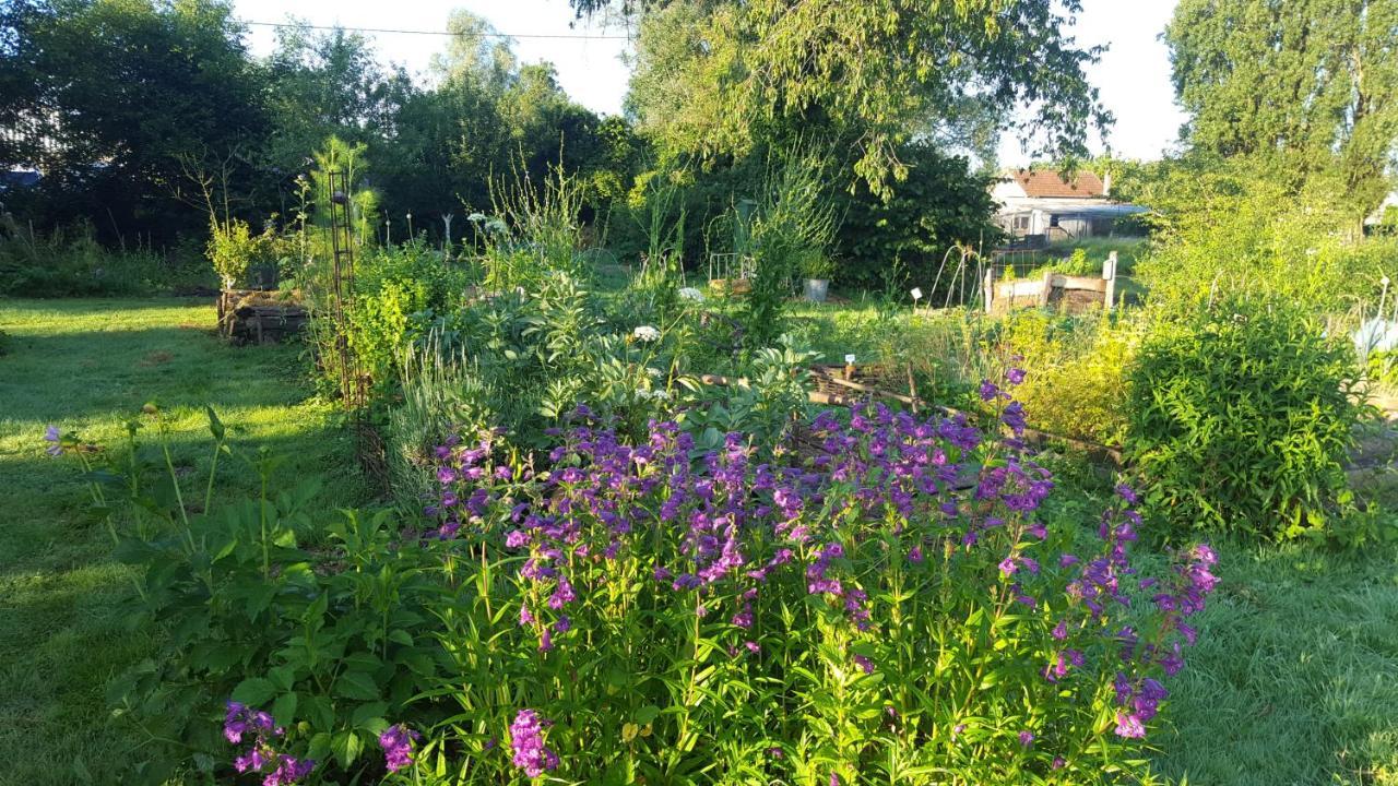 Chambre D'Hotes A La Campagne Nevers Challuy ภายนอก รูปภาพ